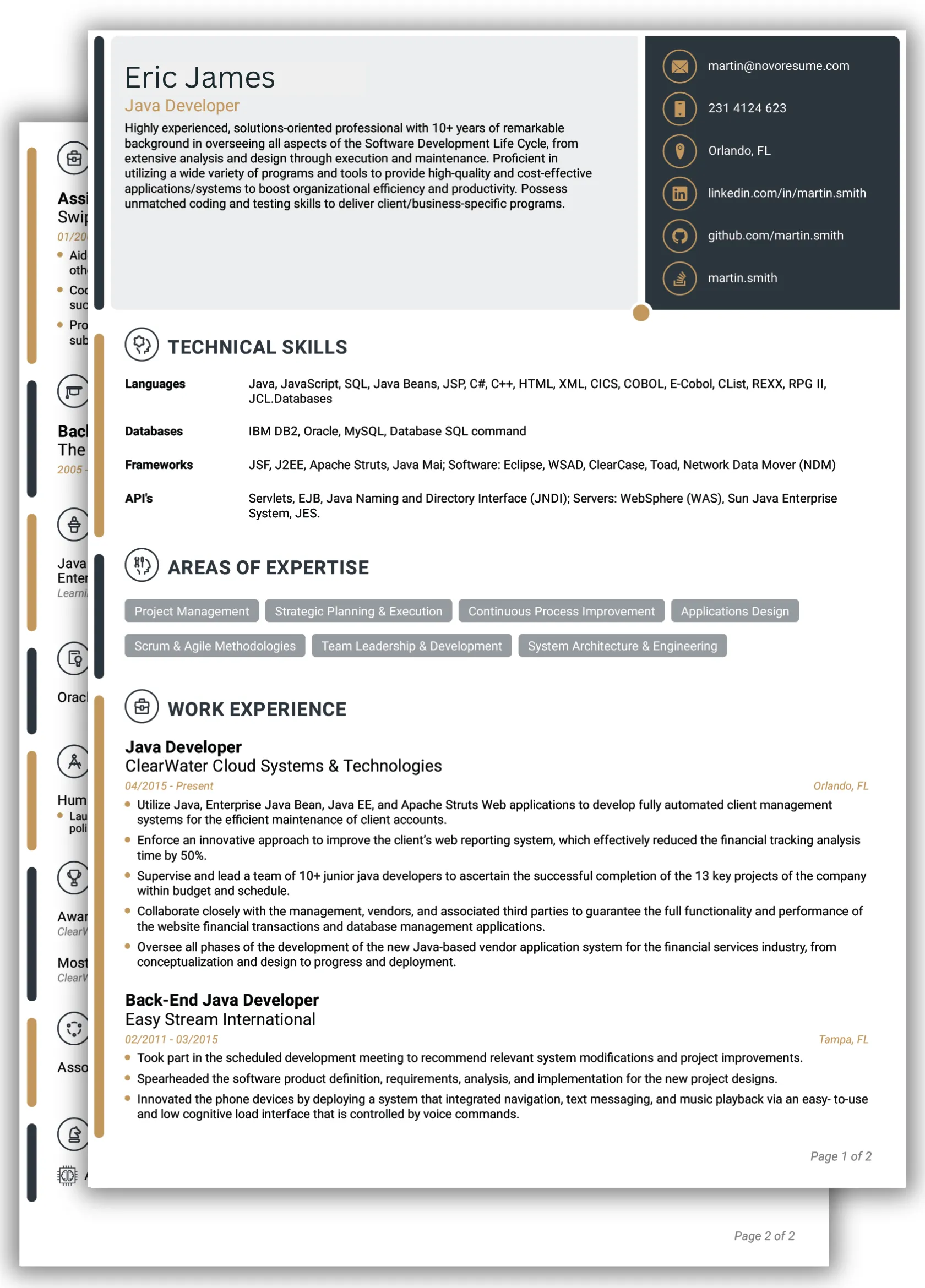 Professional CV Template