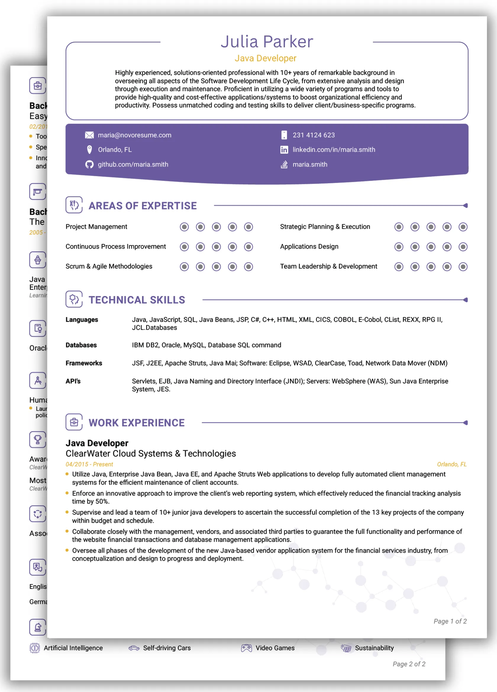 Traditional CV Template